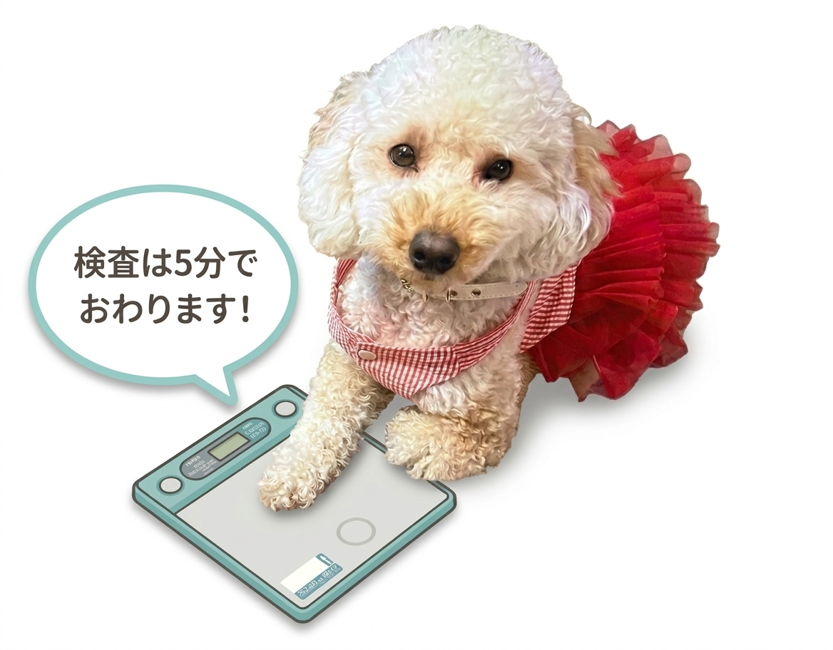 骨粗しょう症検診は5分でおわります