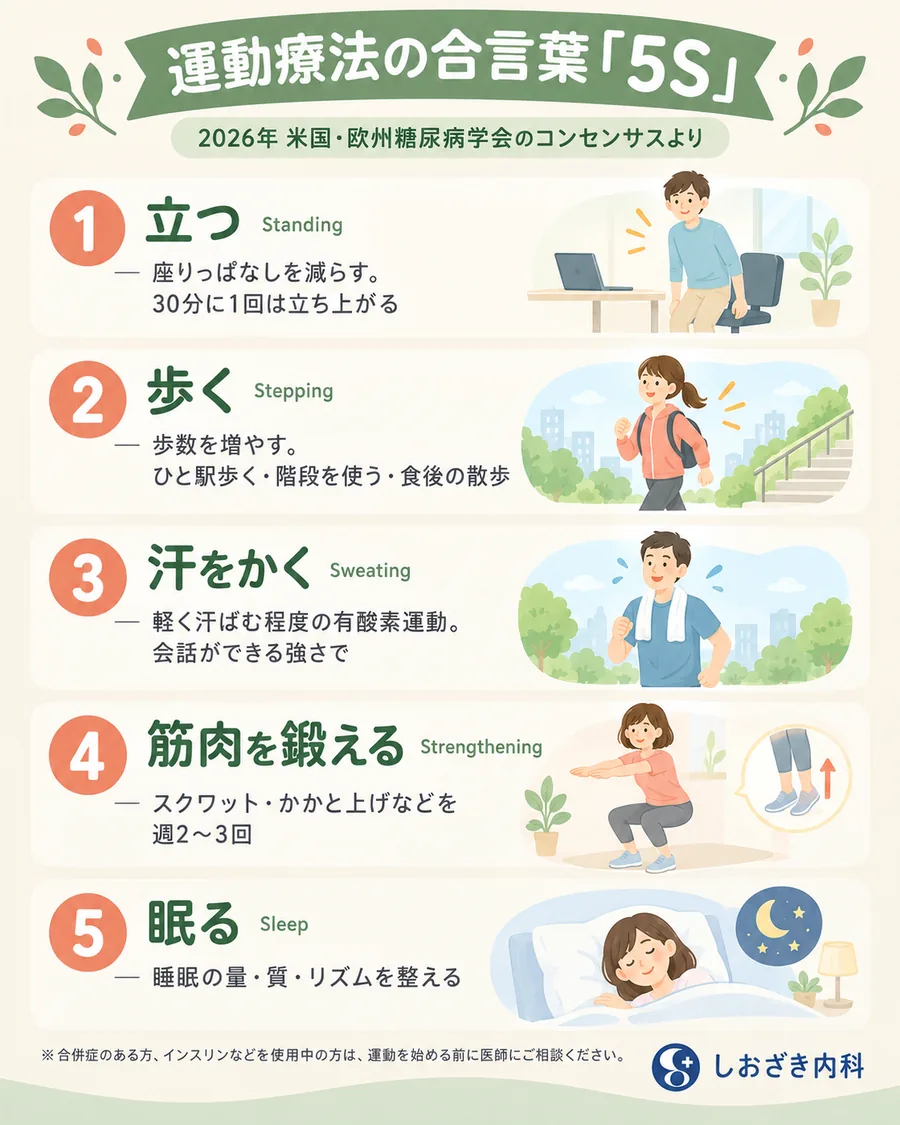 運動療法の合言葉「5S」（2026年 米国・欧州糖尿病学会のコンセンサスより）：1 立つ（座りっぱなしを減らす、30分に1回は立ち上がる）、2 歩く（ひと駅歩く・階段を使う・食後の散歩）、3 汗をかく（会話ができる強さの有酸素運動）、4 筋肉を鍛える（スクワット・かかと上げなどを週2〜3回）、5 眠る（睡眠の量・質・リズムを整える）